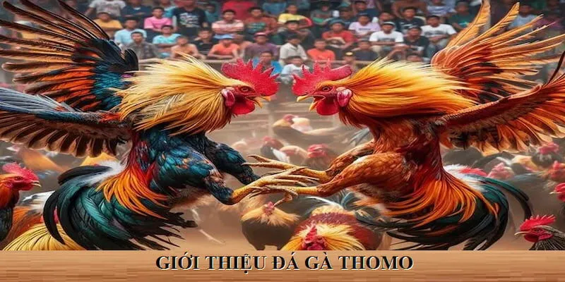 Giới thiệu về loại hình đá kê Thomo Campuchia Giới thiệu về loại hình đá kê Thomo Campuchia