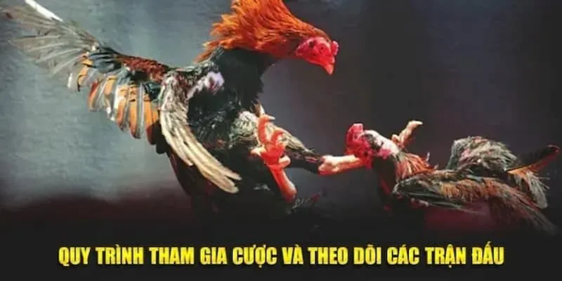 Người chơi khi tham gia cần nắm rõ các nguyên tắc cơ bản để đặt cược chính xác Người chơi khi tham gia cần nắm rõ các nguyên tắc cơ bản để đặt cược chính xác