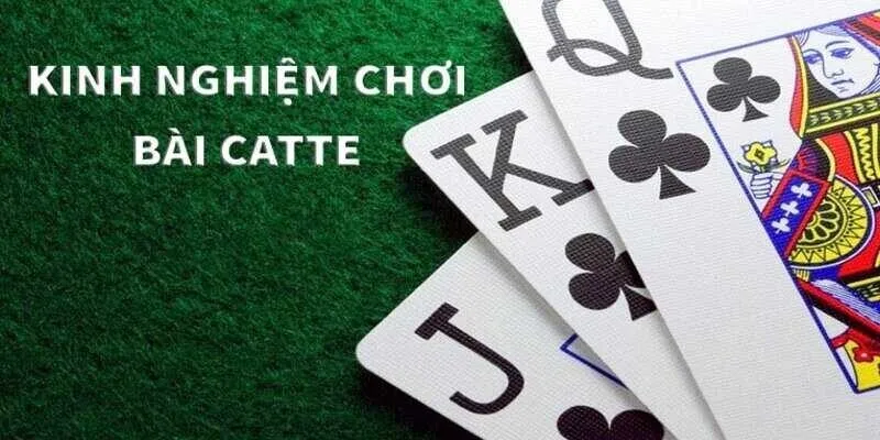 Một vài kinh nghiệm chơi Catte 99OK mang lại hiệu quả Một vài kinh nghiệm chơi Catte 99OK mang lại hiệu quả