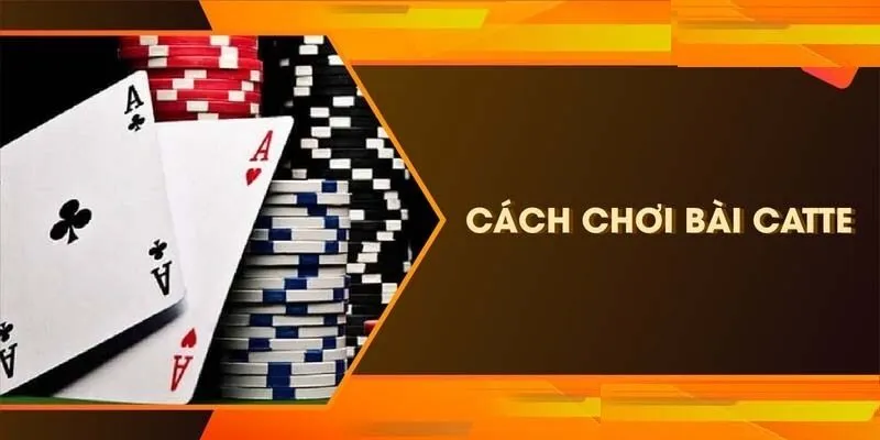 Luật chơi bài Catte cụ thể theo quy định của nhà cái Luật chơi bài Catte cụ thể theo quy định của nhà cái