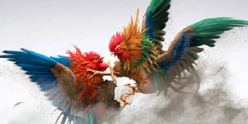 Đá gà là một bộ môn hấp dẫn có tại nhà cái 99OK Đá gà là một bộ môn hấp dẫn có tại nhà cái 99OK